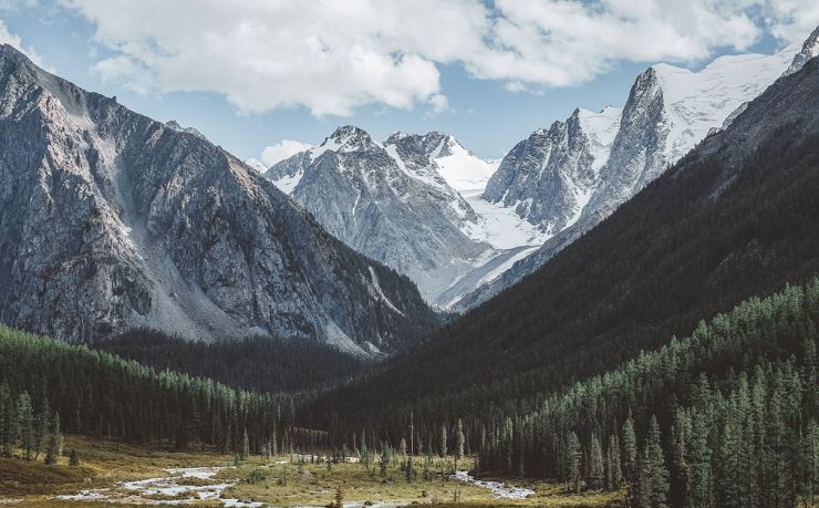 泰国移民服务公司